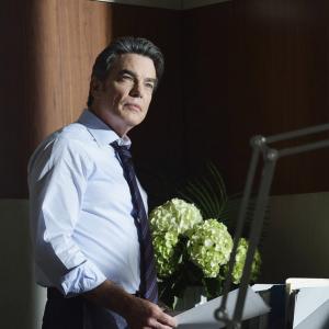 Peter Gallagher 