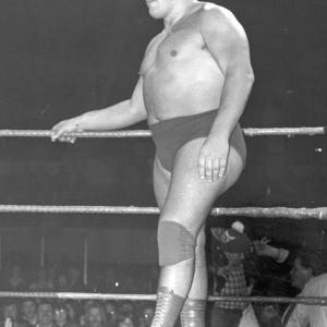 Andre the Giant 